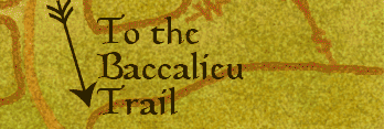 Learn More about the Baccalieu Trail